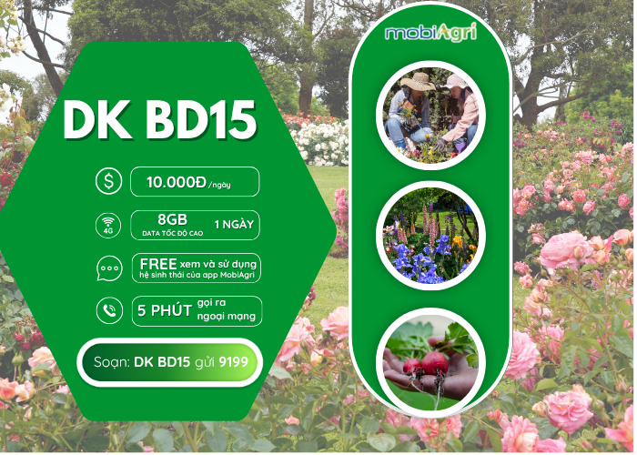 Hướng dẫn cách đăng ký gói BD Mobiagri chỉ 10k có 8GB data tốc độ cao
