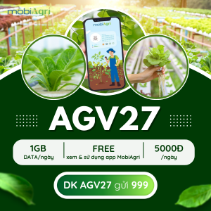 Đăng ký gói AGV giá 5,000đ nhận ngay 1GB tốc độ cao